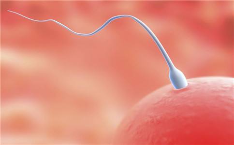 医生